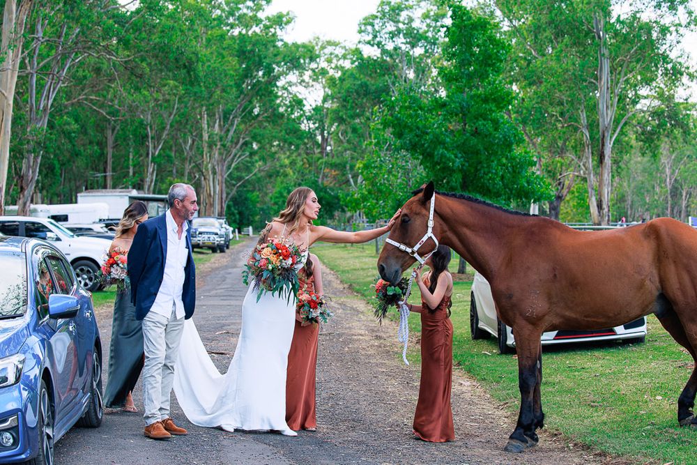 Wedding celebration at a rustic outdoor venue with parked cars and forest scenery.