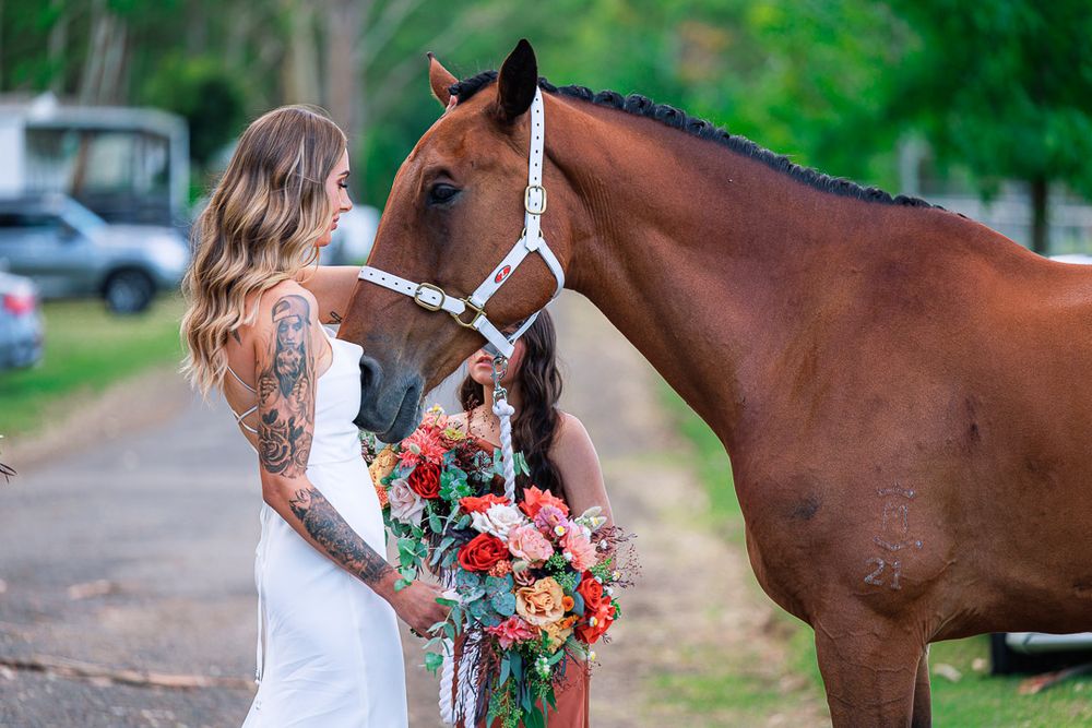 Wedding party members interact with a brown horse while holding coral floral bouquets.