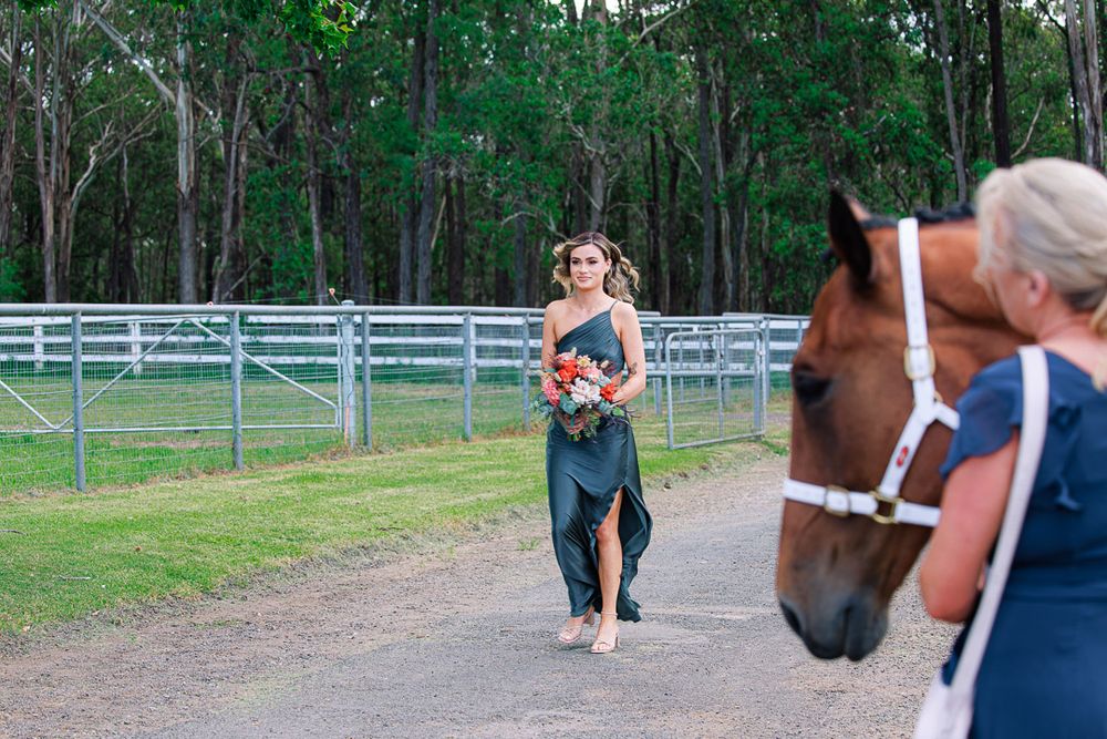 Wedding photo session featuring a brown horse and attendants at a rustic outdoor venue.