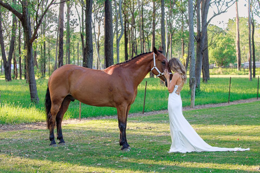 A horse and wedding dress in a sunlit forest setting create a dreamy outdoor photo shoot atmosphere.