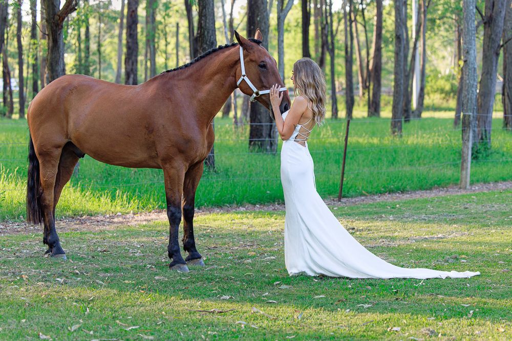 Horse and flowing white dress photographed in a serene wooded area with dappled sunlight.