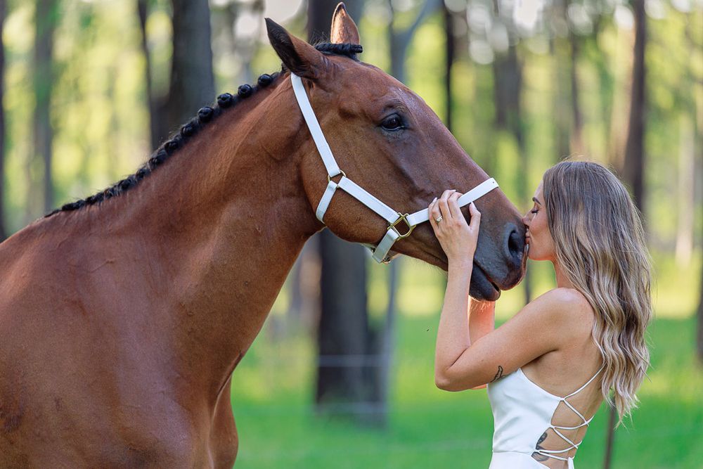 wedding portrait of bride with a horse