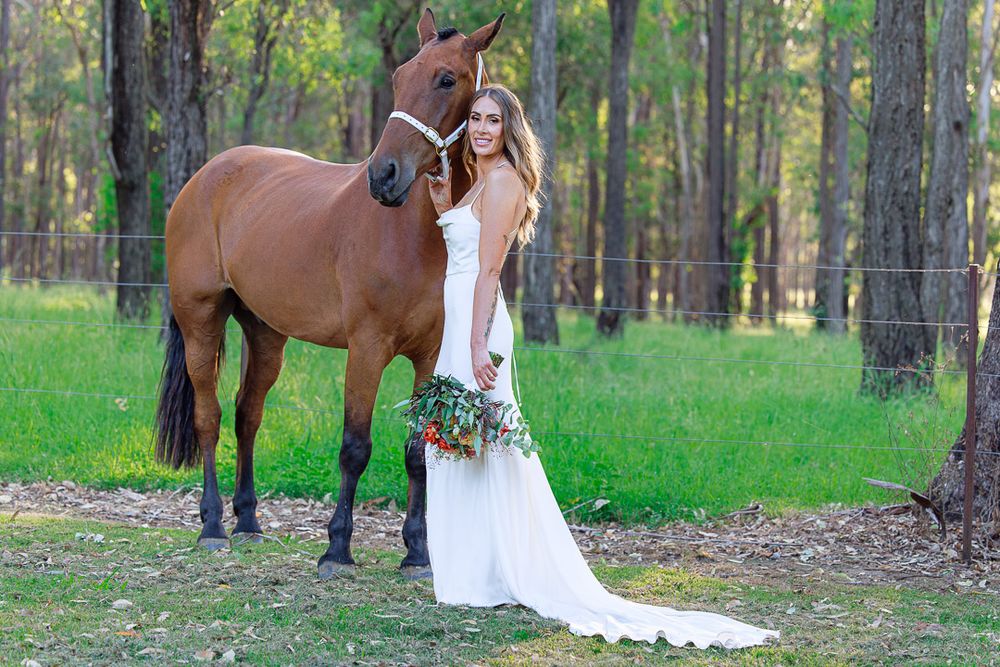 Outdoor wedding photo shoot with a majestic horse in a sun-dappled forest setting.