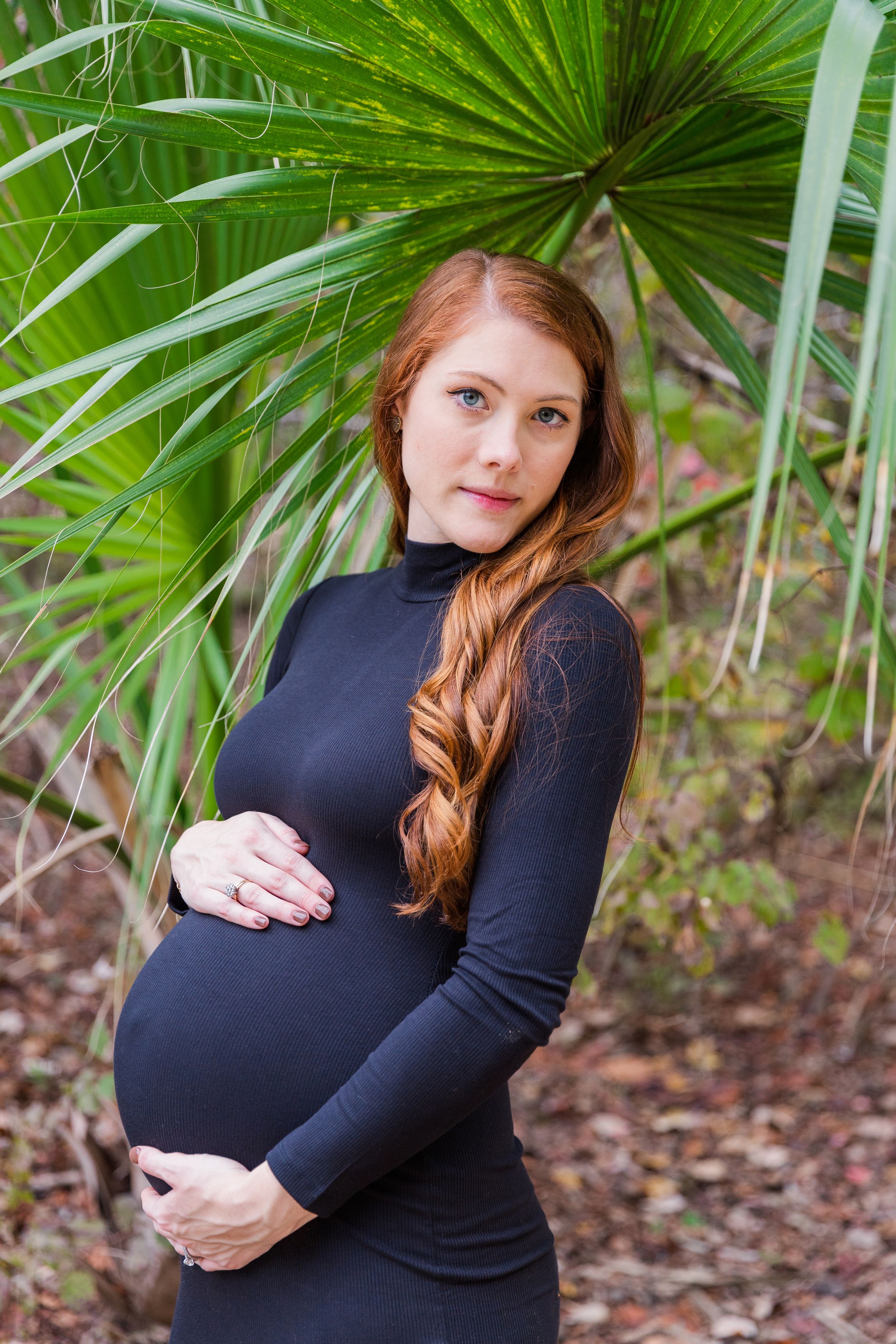 maternity portrait in palm frans