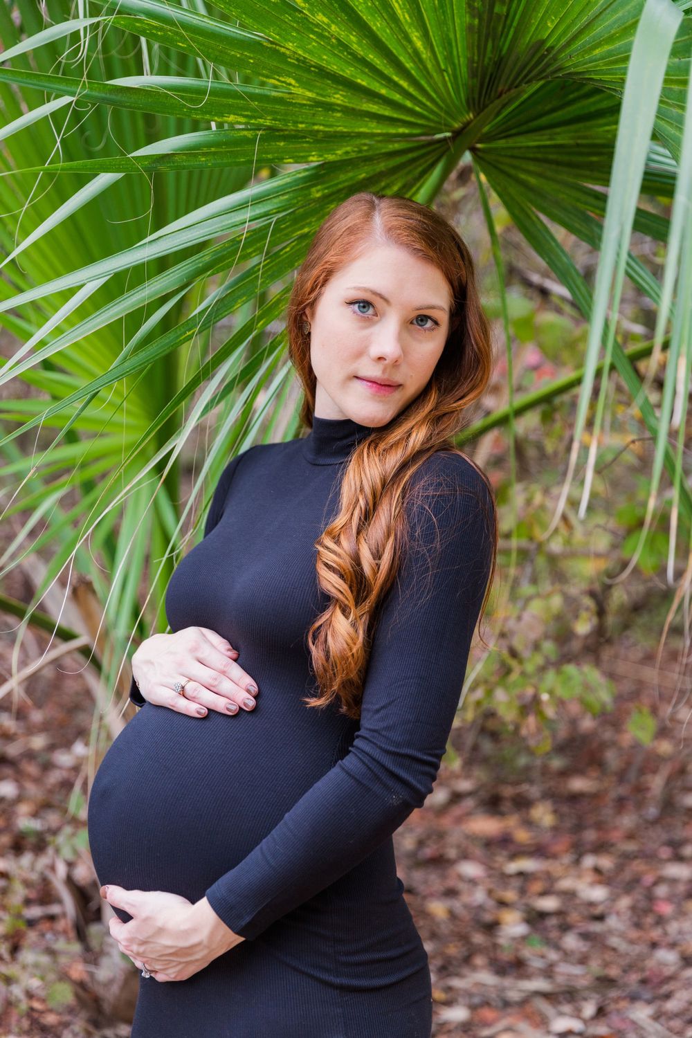 maternity portrait in palm frans