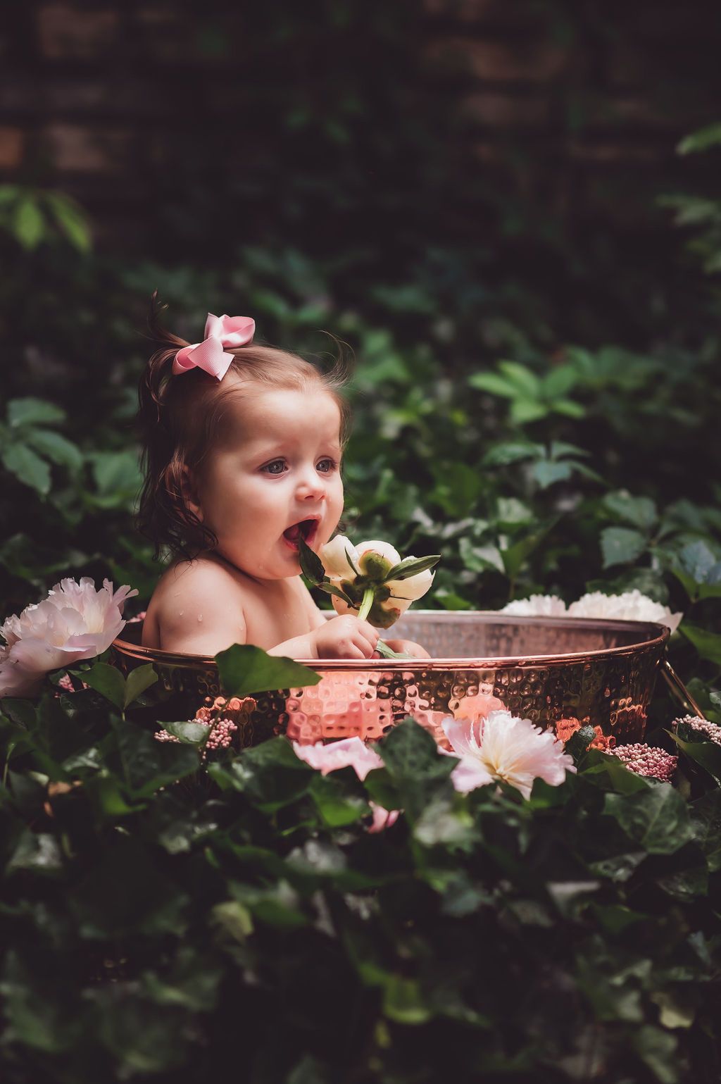 baby sitting in copper tub among ivy tries to eat a peony for milk bath photography session
