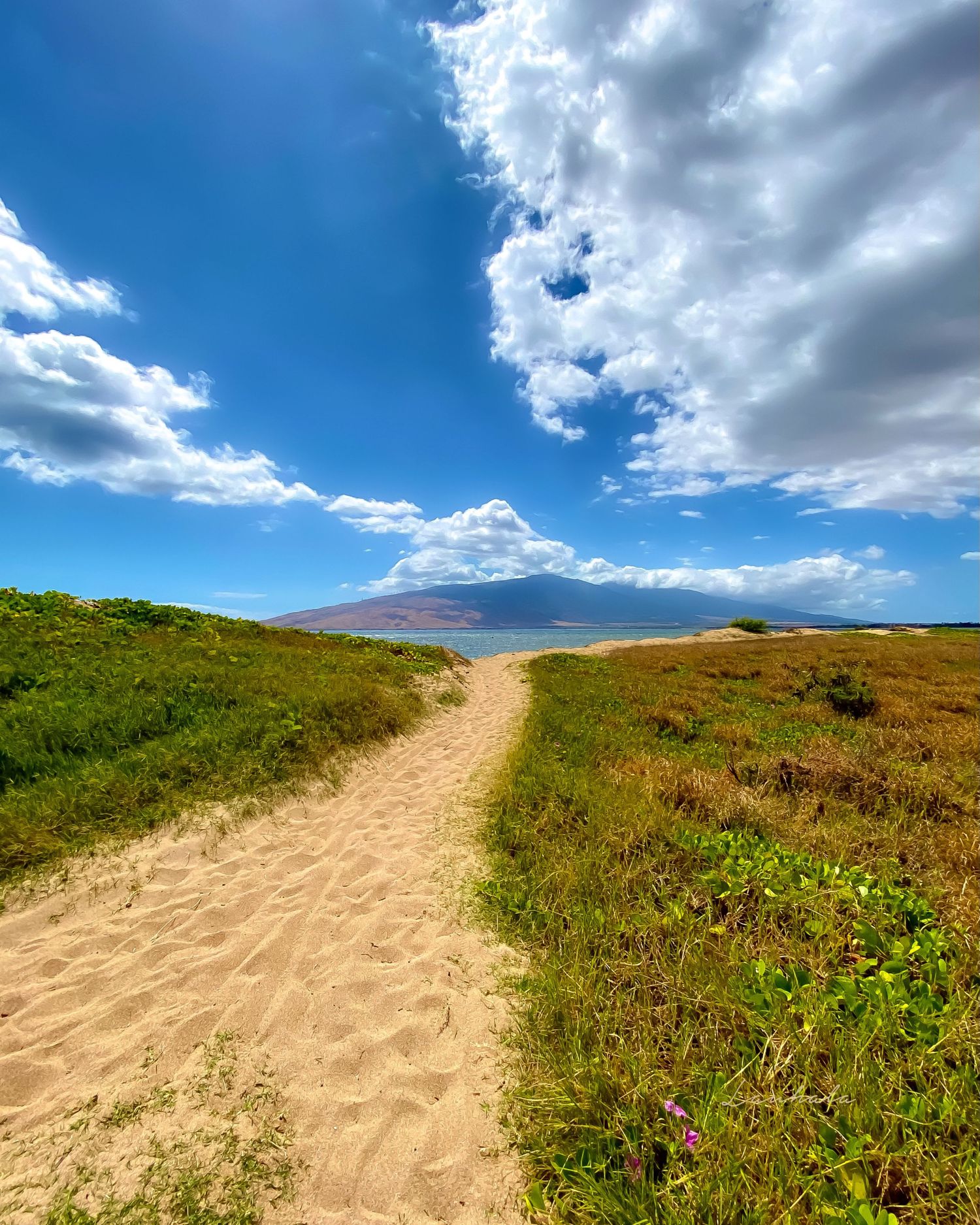 Sandy hiking trail leading through green hills under dramatic cloudy skies.