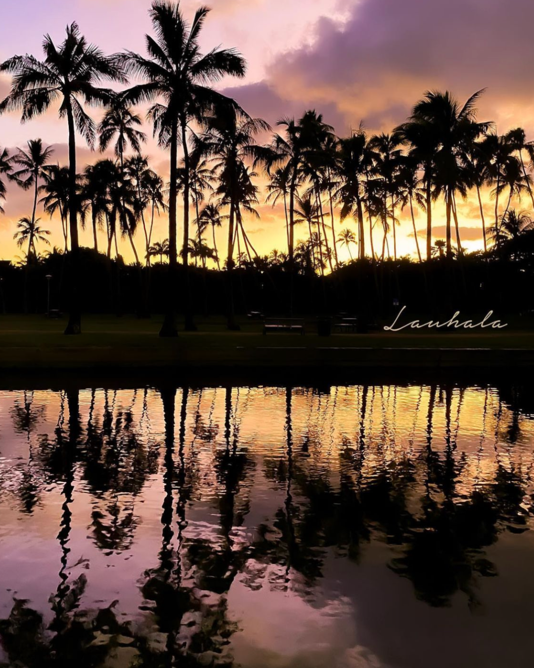 Row of palm trees silhouetted against purple sunset sky with perfect reflection in still water.