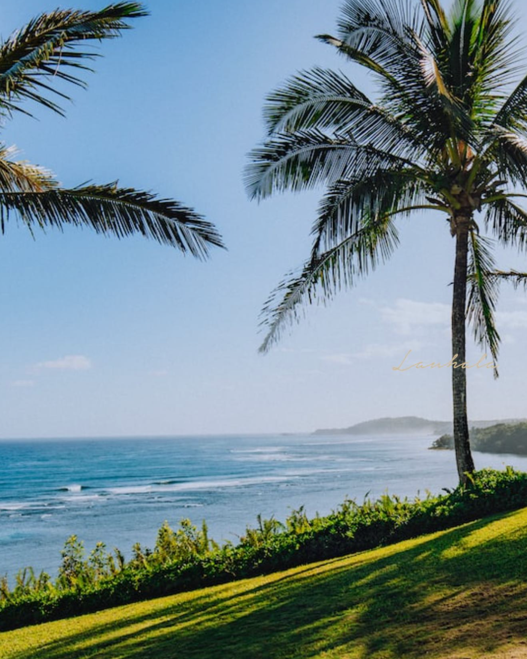 Coastal view of blue ocean and palm trees along grassy cliff in tropical paradise.
