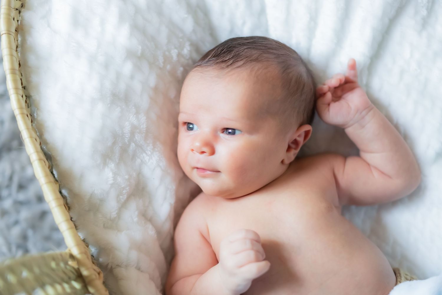 Baby boy newborn session in Orange Park, Florida.