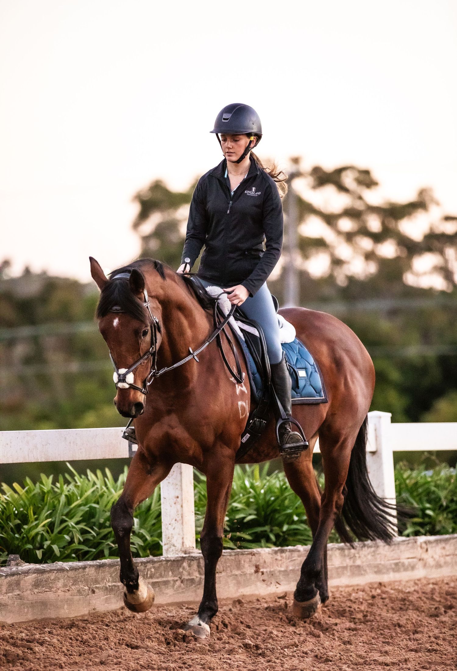 Equestrian photography.