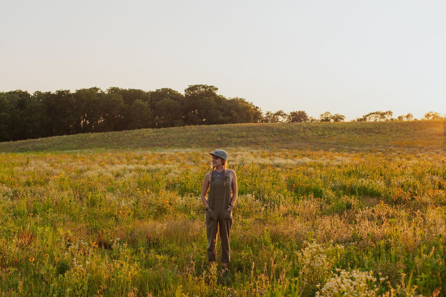 Silhouette walking through golden field at sunset with tall grass.