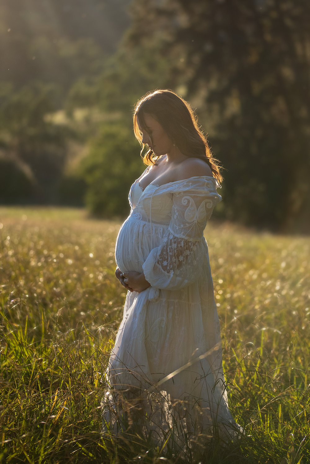 <img src="maternityphotoshootblackwoodforestadelaide.jpg" alt="maternity photoshoot in forest Adelaide South Australia">
