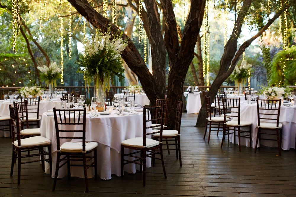 Elegant outdoor wedding reception setup with white tablecloths and dark wooden chairs under large trees.