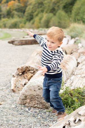 little boy in striped navy and cream sweater starts to tumble after jumping off the driftwood log at the beach.