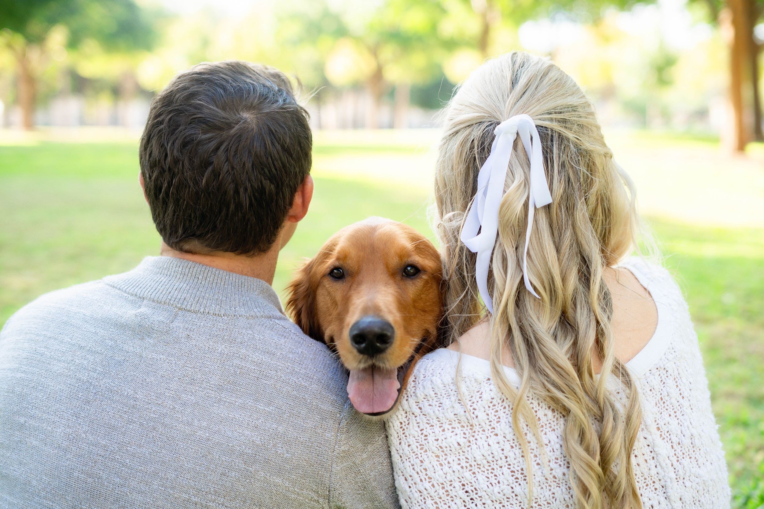 Couple sitting back to back with golden retriever dog peeking between them in green park.