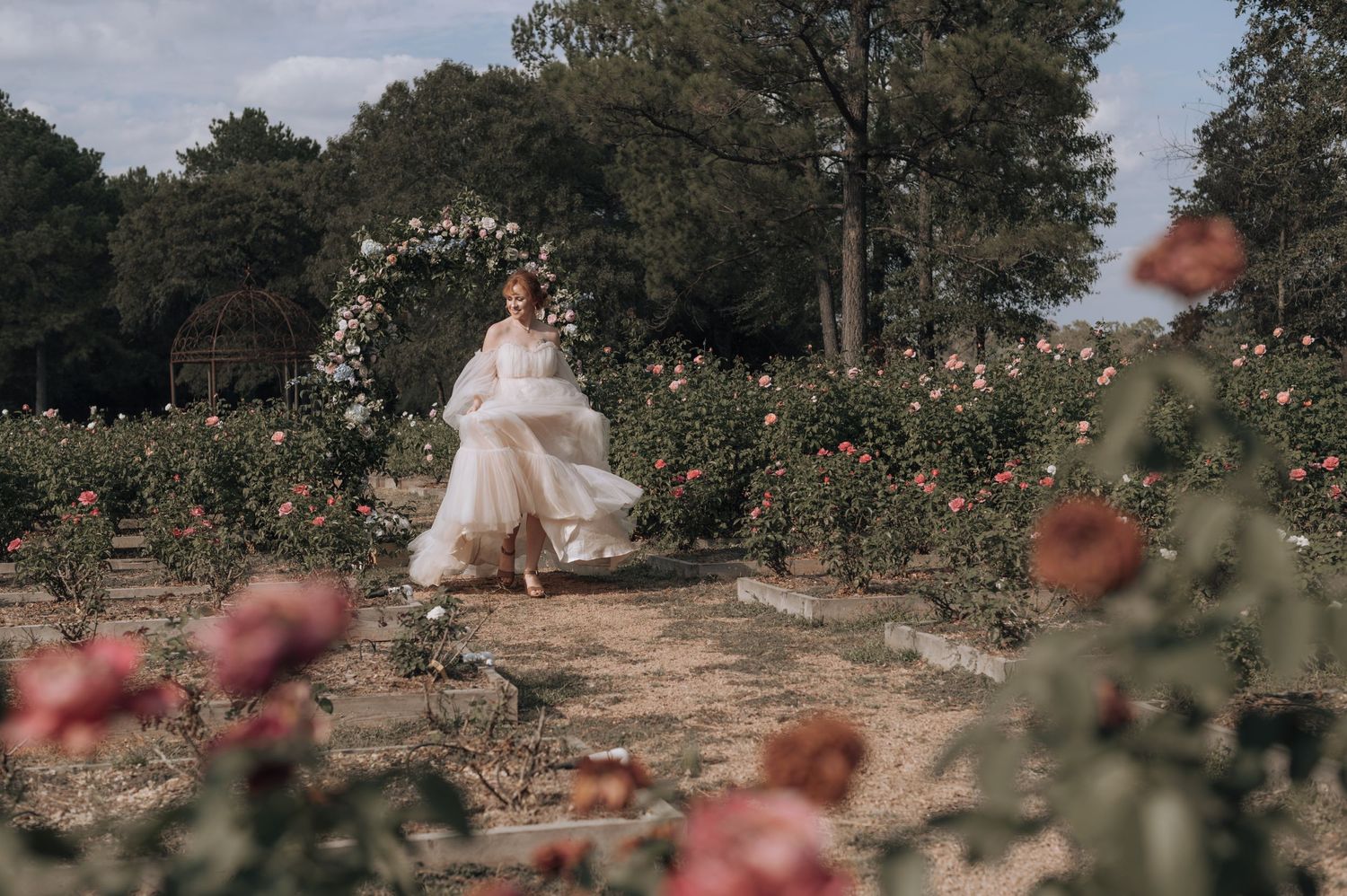 Romantic garden scene with floral arch and roses in soft afternoon light.