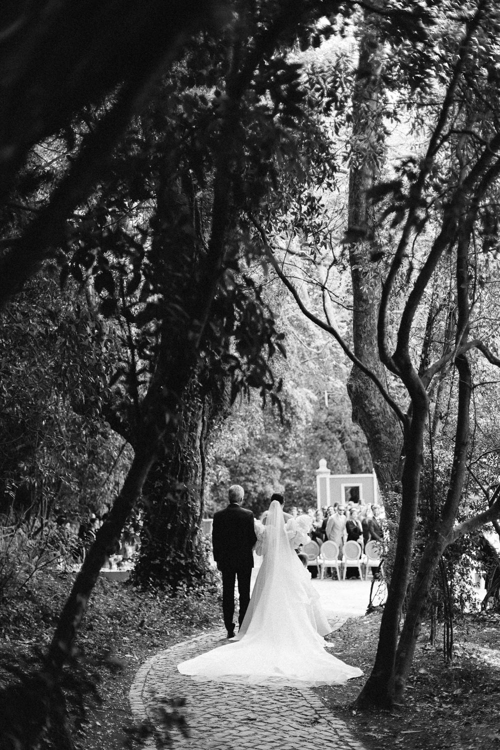 Black and white photo of a wedding ceremony path through a wooded forest setting.
