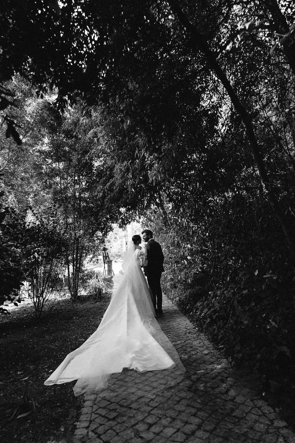Black and white photo of a romantic couple walking along a tree-lined cobblestone path.