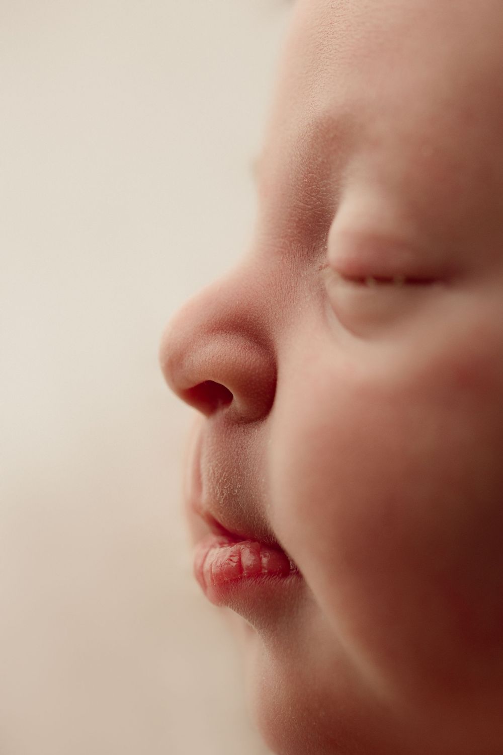 macro images of newborn side profile of face
