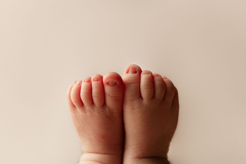 newborn session detail image of babies toes