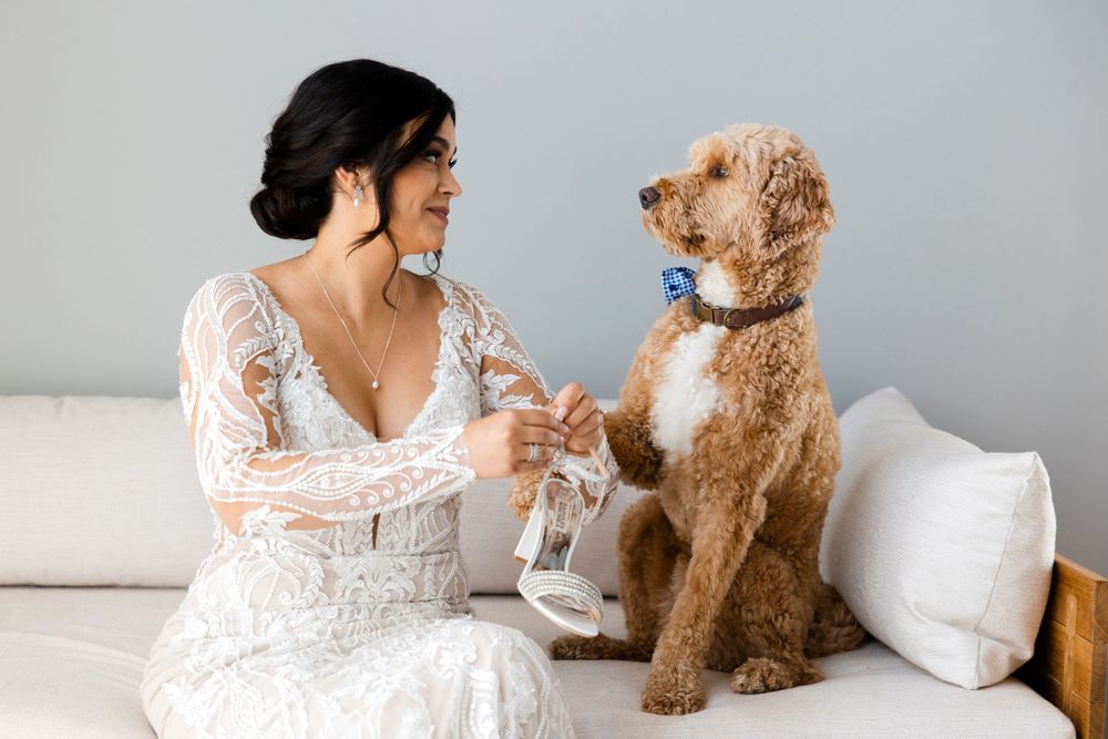 Bride and her dog getting ready for wedding at Jorgensen Farms in Westerville, Ohio.
