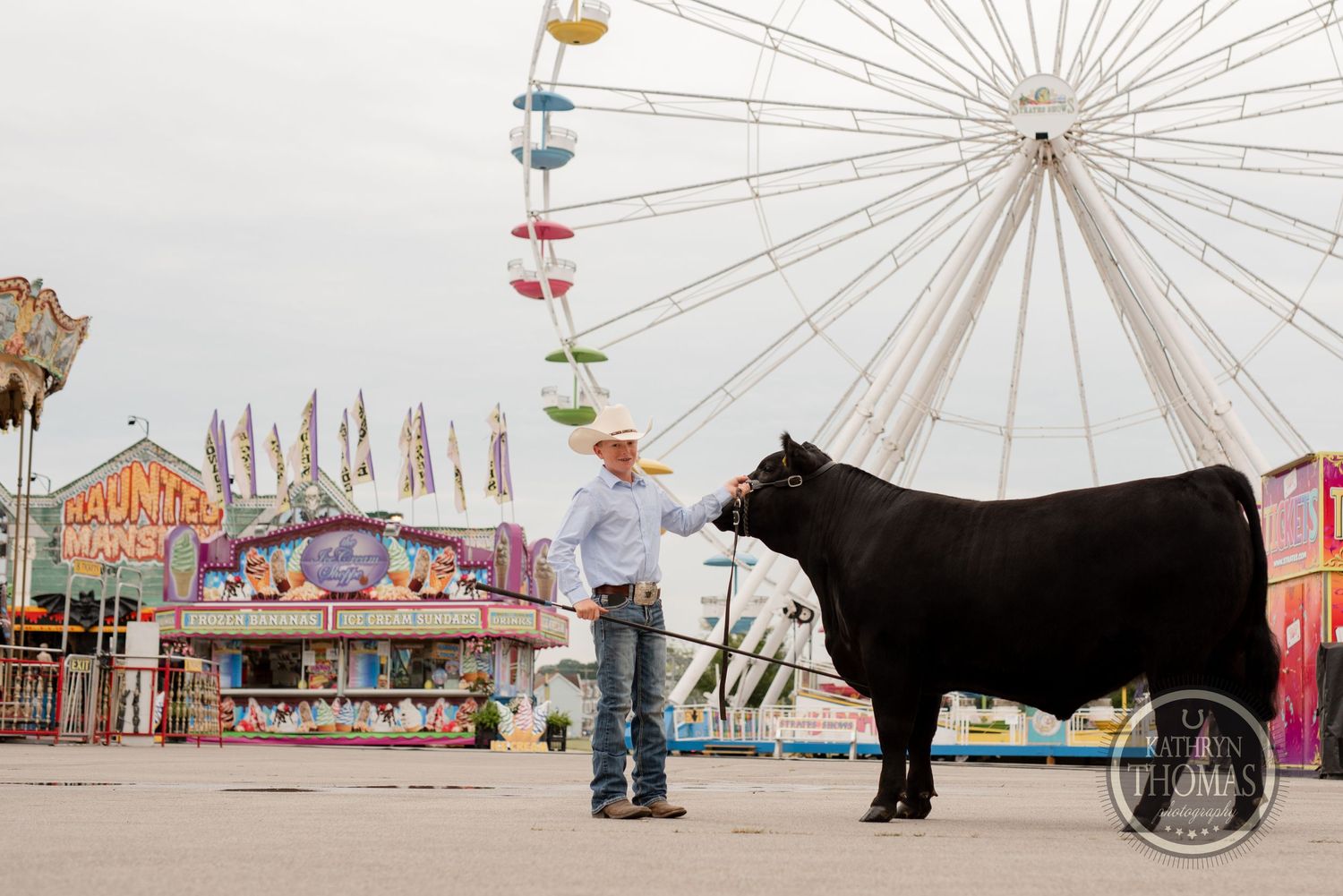 A black show cow stands next to a handler at a county fair with a ferris wheel in the background.
