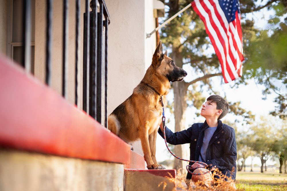 boy in blue jacket with German Shepherd dog and American Flag