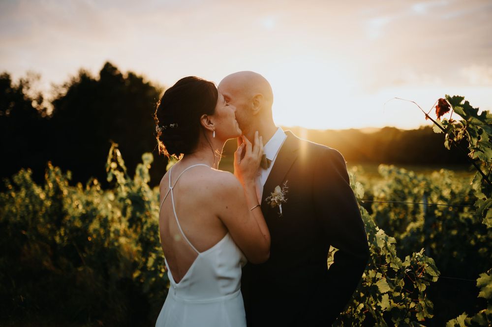 Sunset wedding portrait in a vineyard with golden hour lighting.