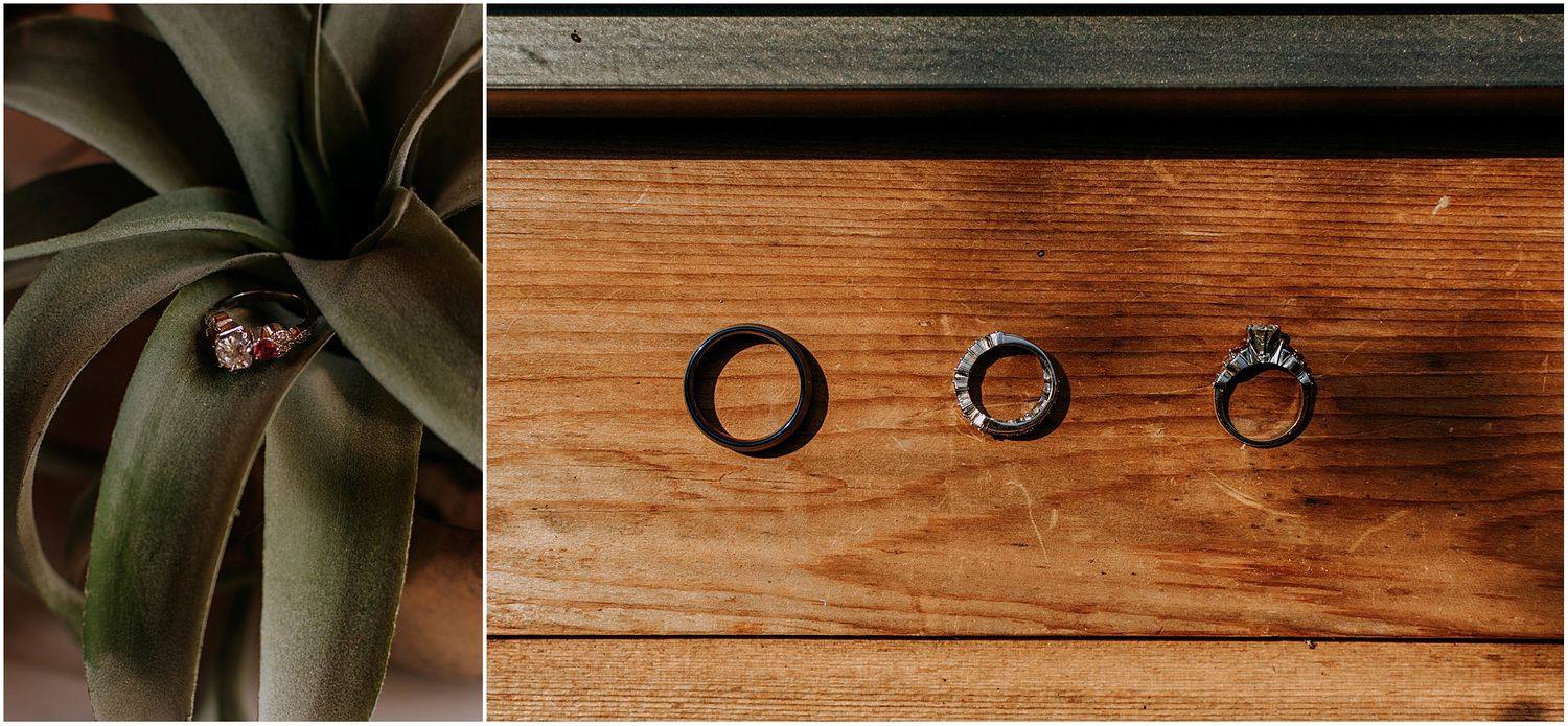 Three dark wedding rings arranged on wooden surface next to a succulent plant.