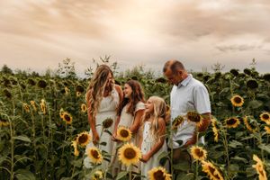 Family of four in a sunflower field during a late summer photo session in Branson with L. Ballenger Photography.