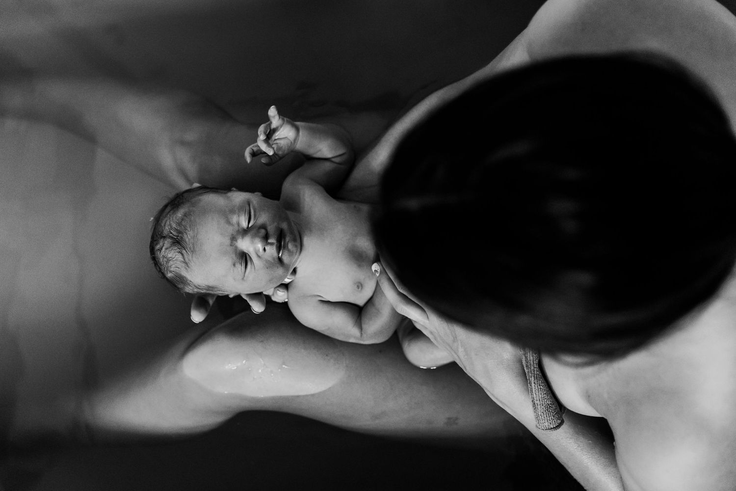 DFW Birth Brass Buffalo Photography