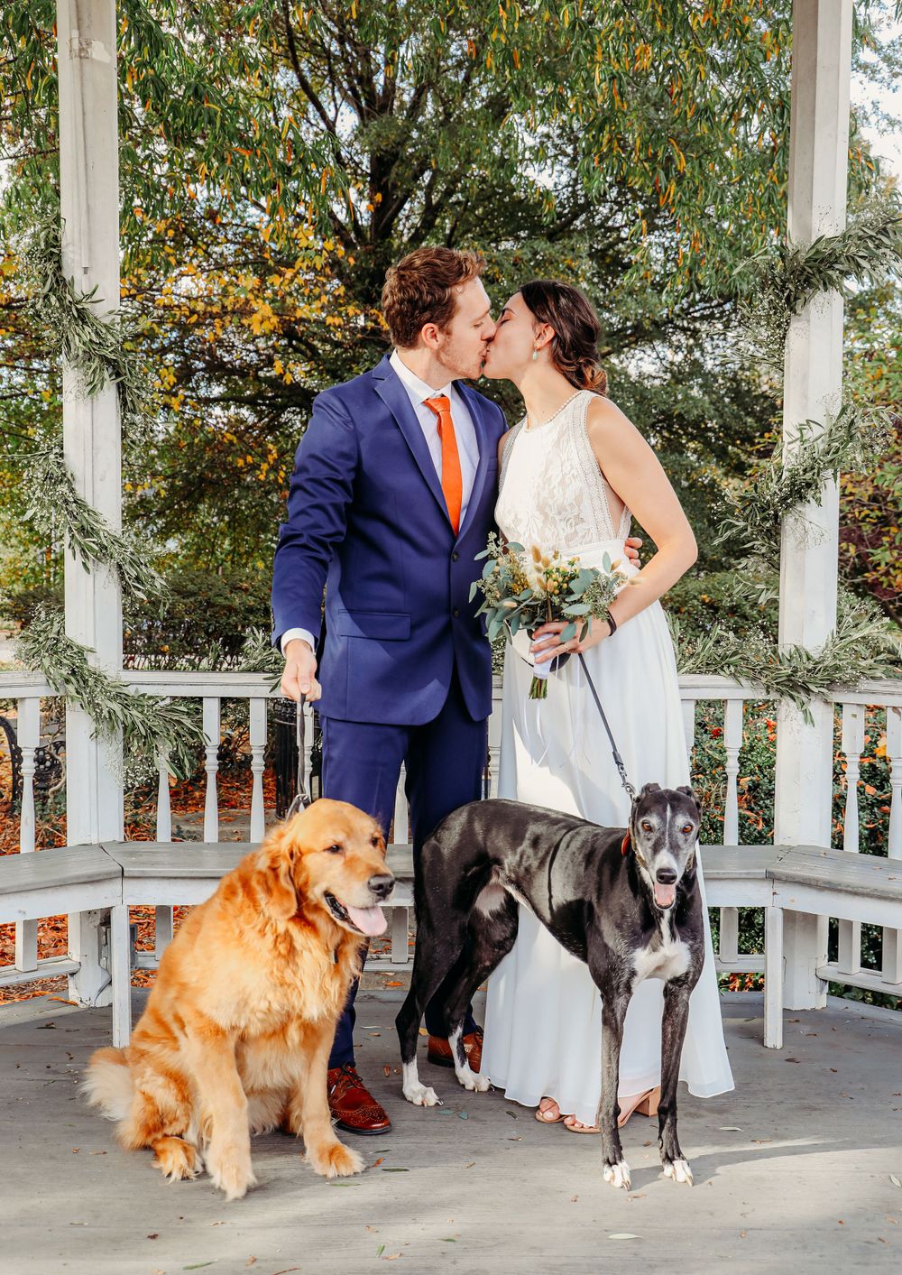 Wedding couple with their golden retriever and greyhound dogs on white gazebo.
