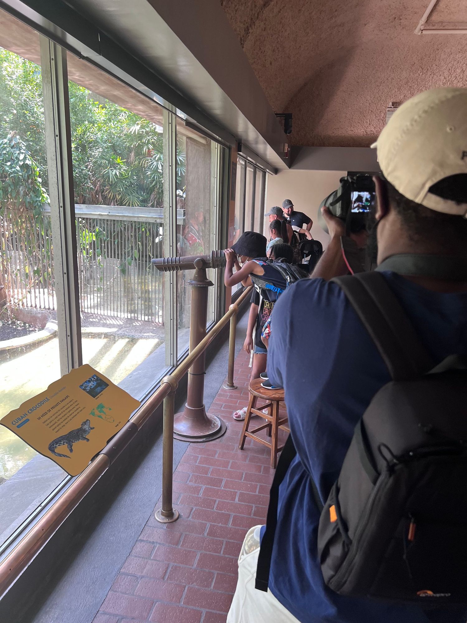 People with cameras lined up taking photos through a window.