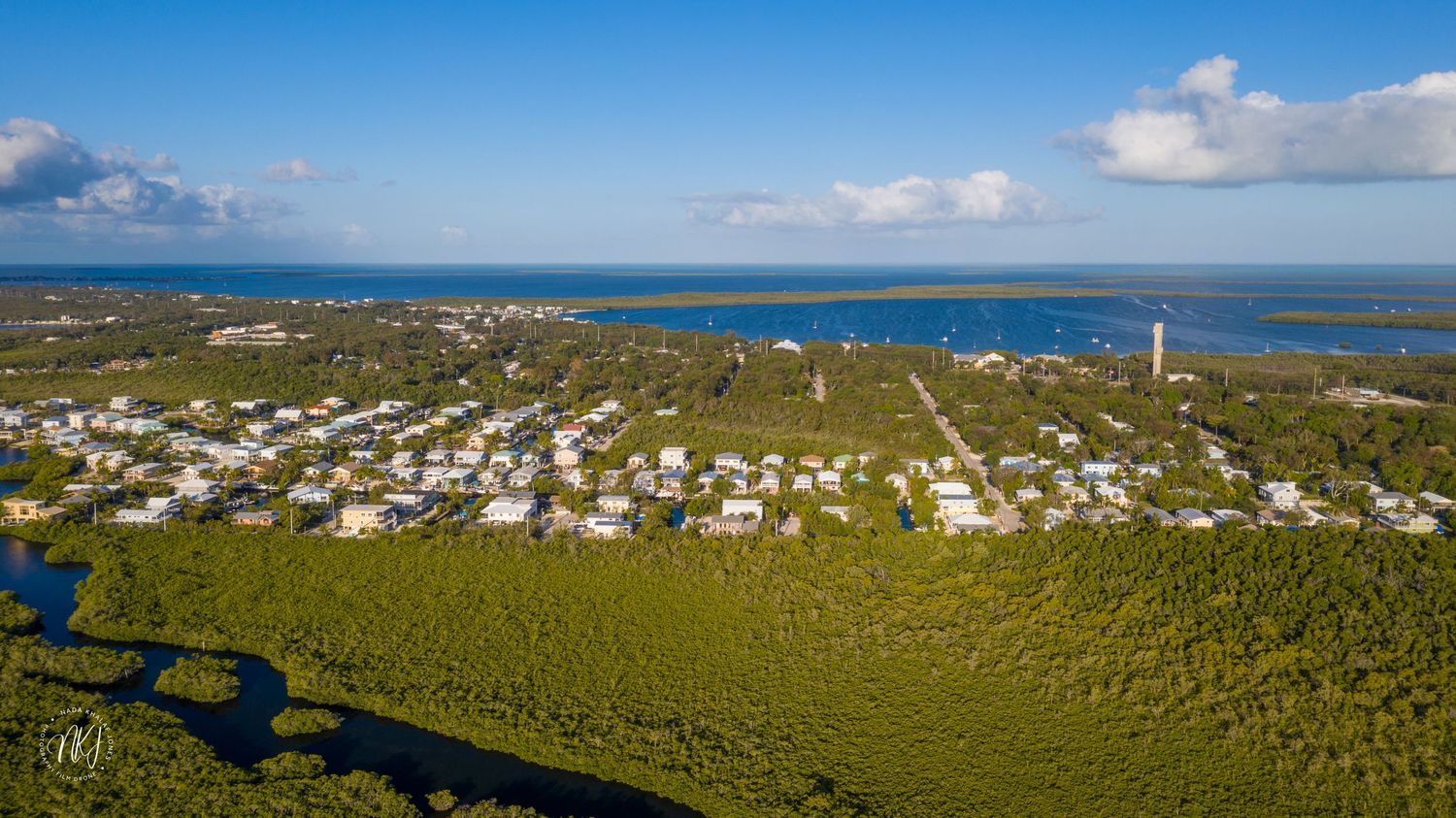 Aerial panorama of coastal landscape showing dense forest and waterfront community.