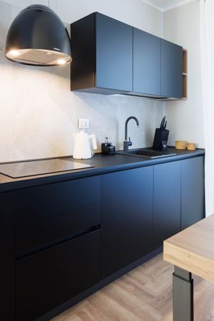 Sleek matte black kitchen with pendant lamp and modern fixtures.