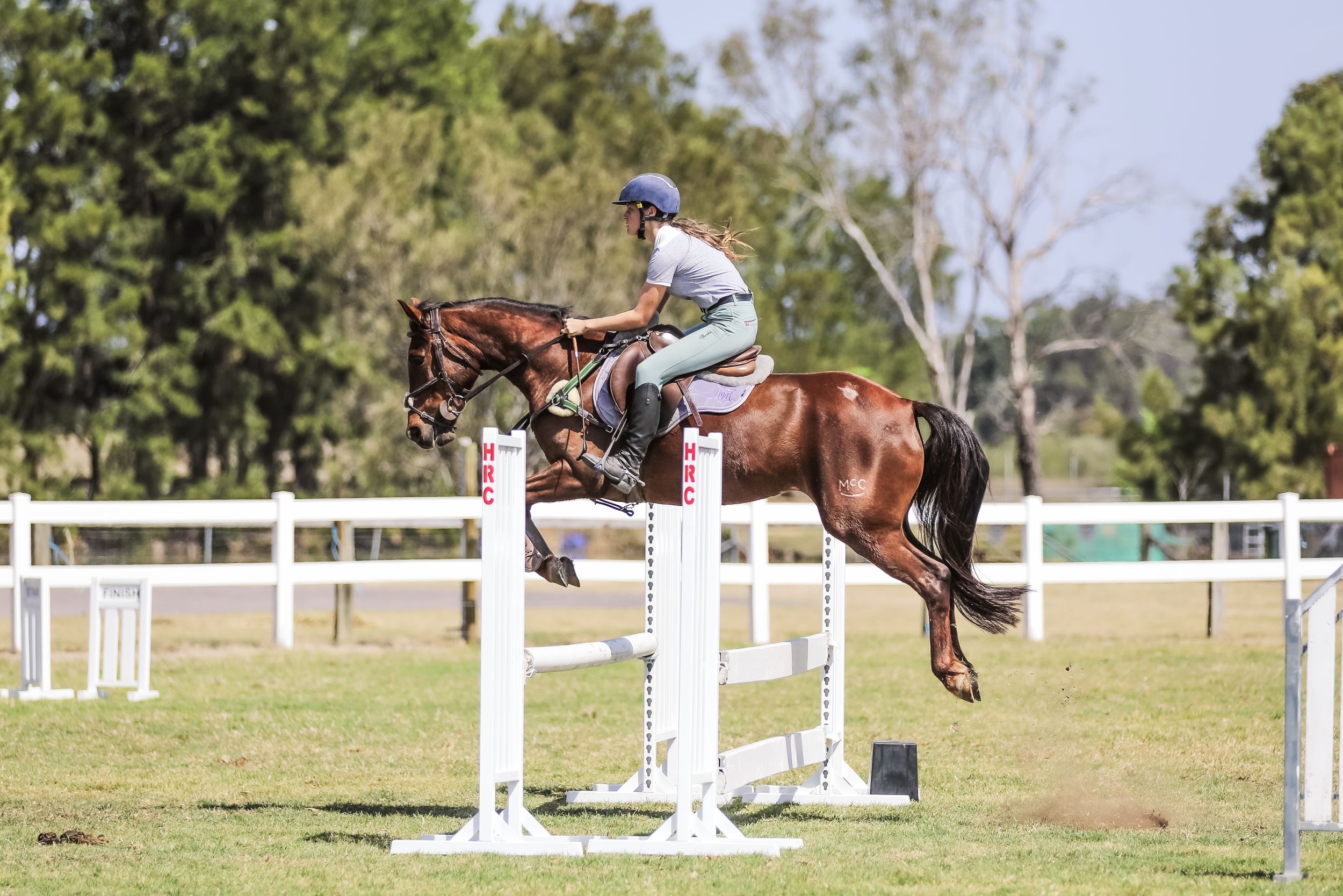 Equestrian photography.