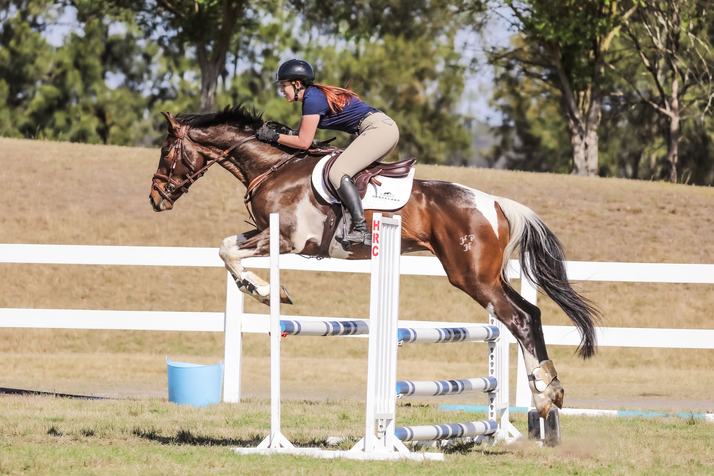 Equestrian photography.