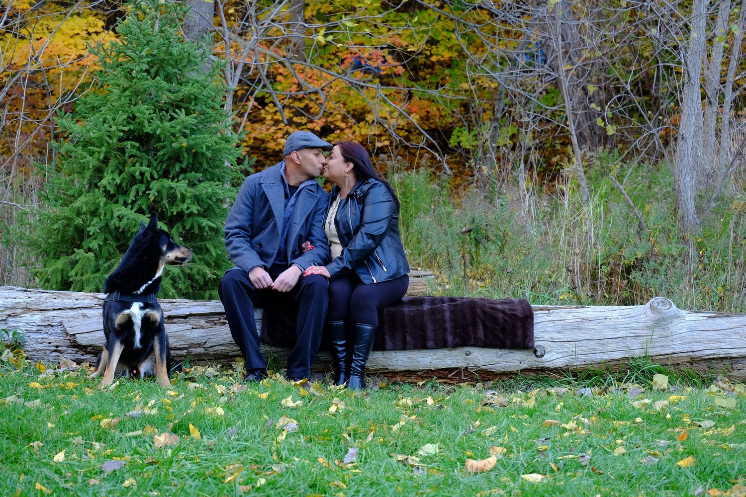 Professional Engagement Photography in North York, Toronto | Wedding Photographer for Timeless Moments