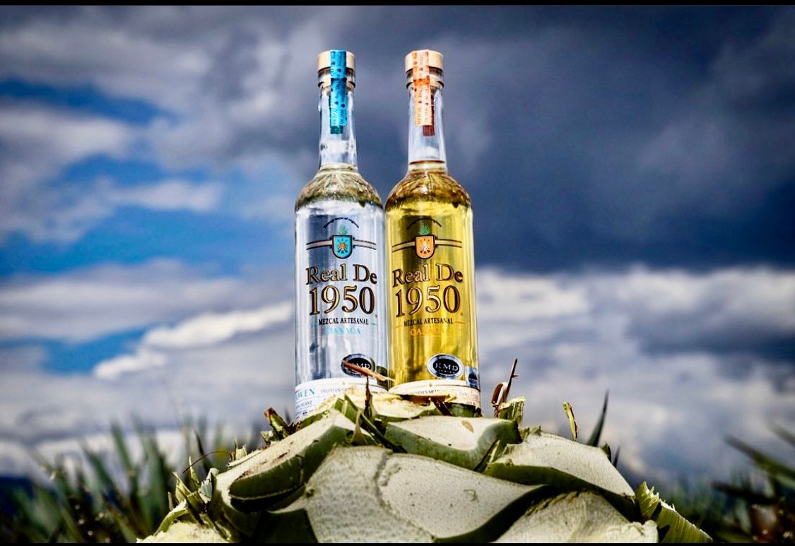 Mezcal 1950 silver and reposedo. Photo shooting in the beautiful agave fields in Oaxaca, Mexico.