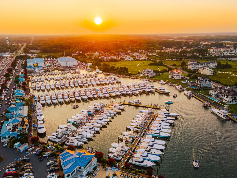 Aerial sunset view of a bustling marina filled with yachts and boats docked along waterfront piers.
