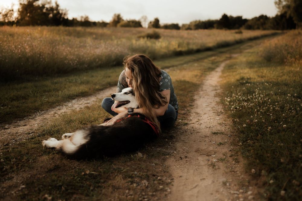Husky dog receiving pets while relaxing on a rustic dirt trail during sunset.