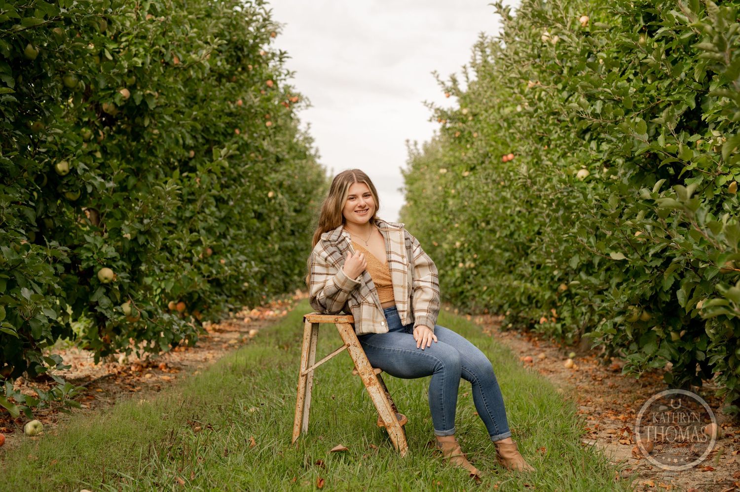 Autumn portrait in apple orchard with person sitting on wooden stool between tree rows.