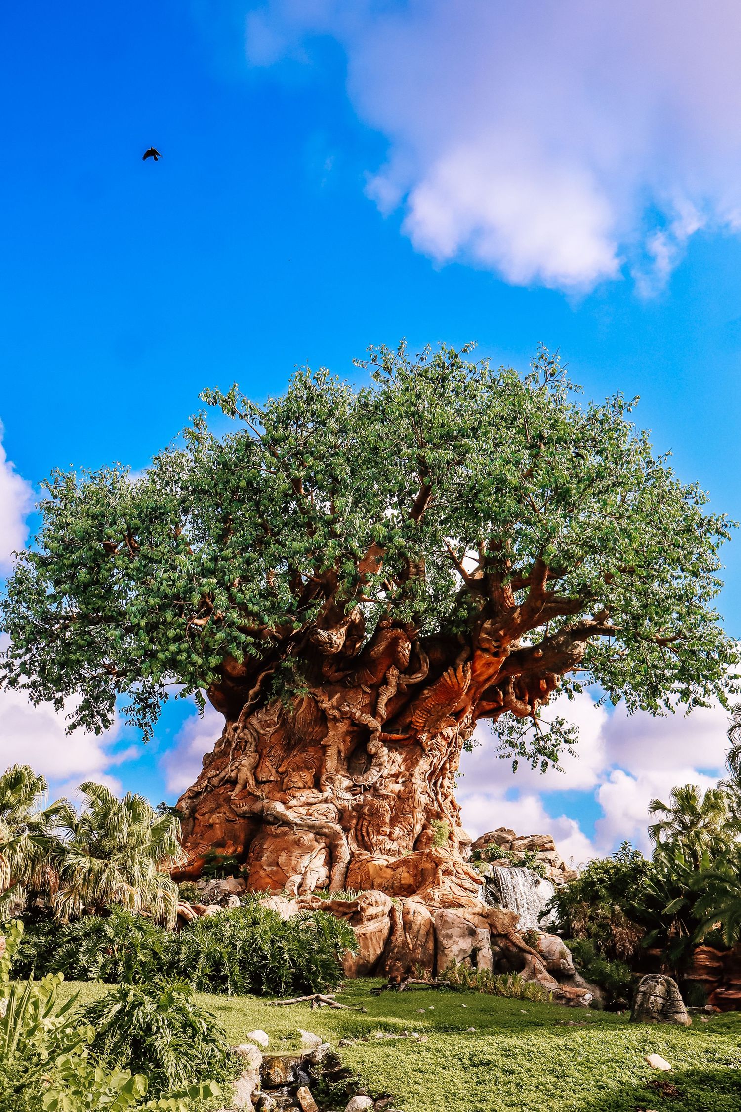 The massive Tree of Life stands tall under bright blue skies at Disney's Animal Kingdom.