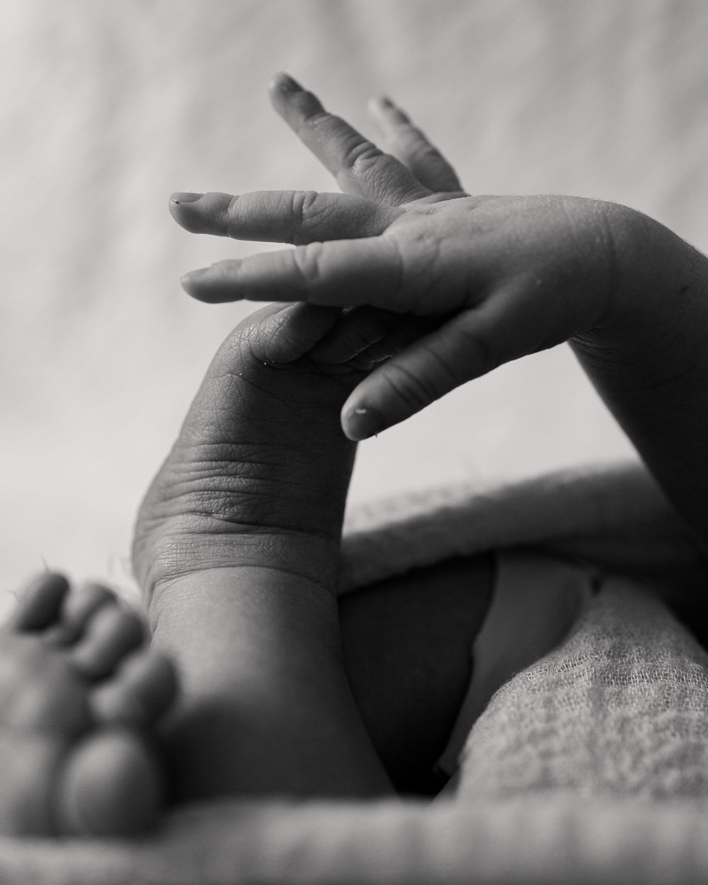 Black and white close-up photograph showing small baby hands reaching up alongside tiny feet against soft fabric background.