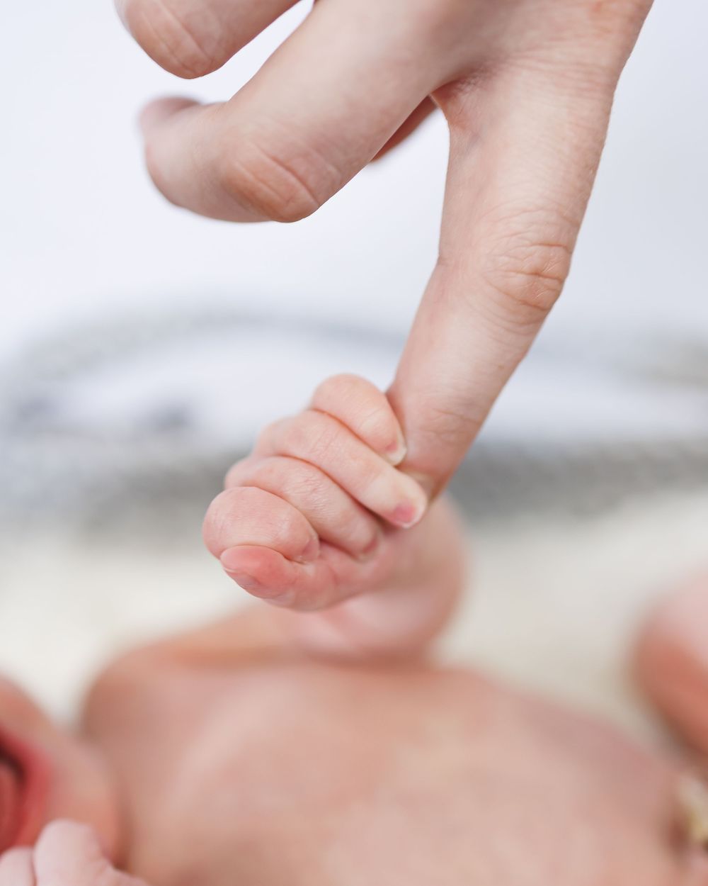 A tiny baby's hand grasps an adult's finger in a tender moment against a soft white background.