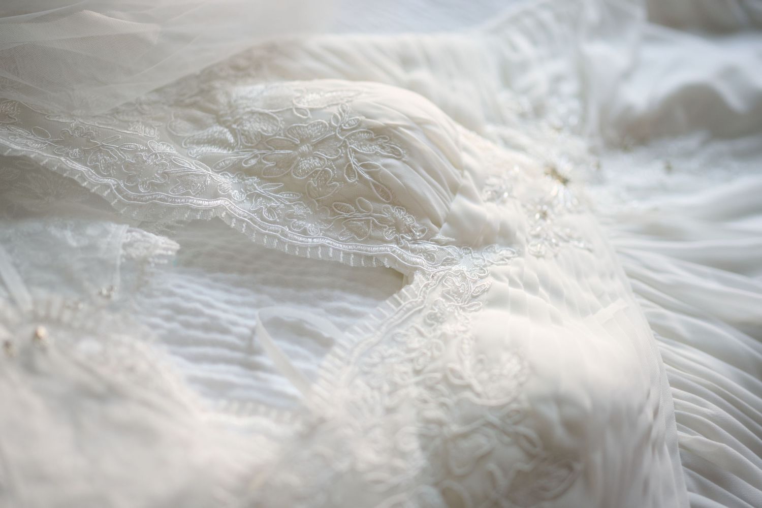 Delicate white feathers in soft focus create an ethereal abstract texture with subtle light and shadows.