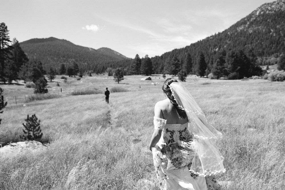 Black and white wedding photo in a mountain meadow with flowing veil.
