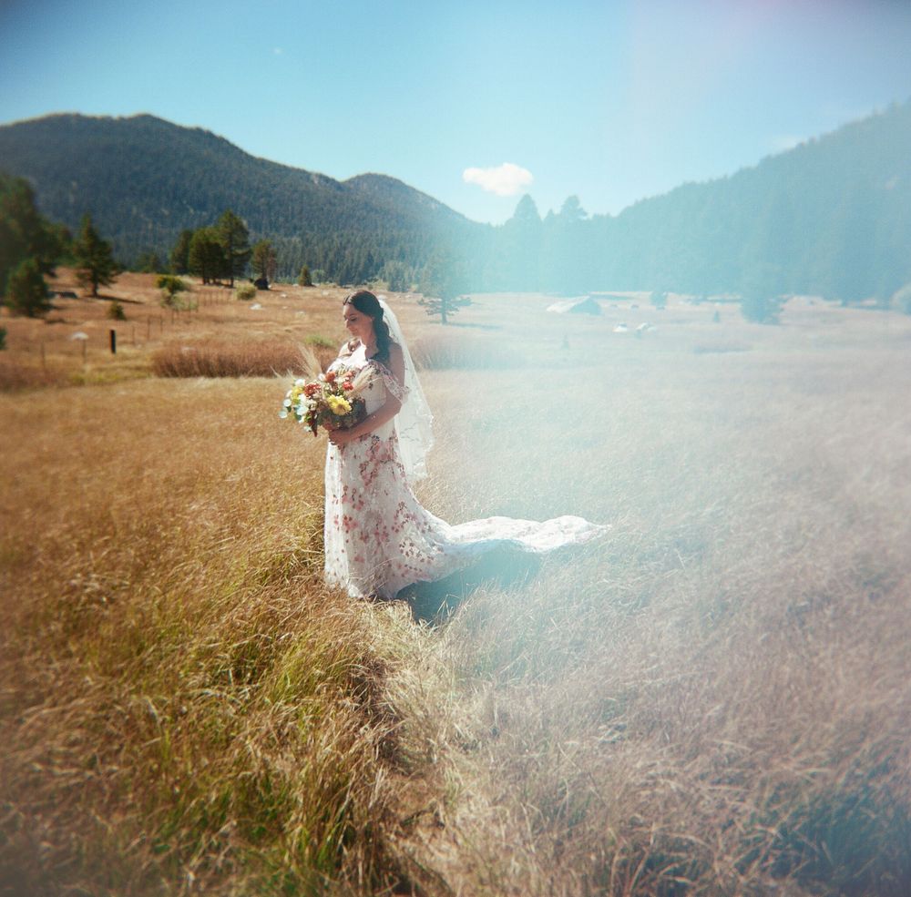 A dreamy wedding portrait in a mountain meadow with golden grass and misty peaks in the background.