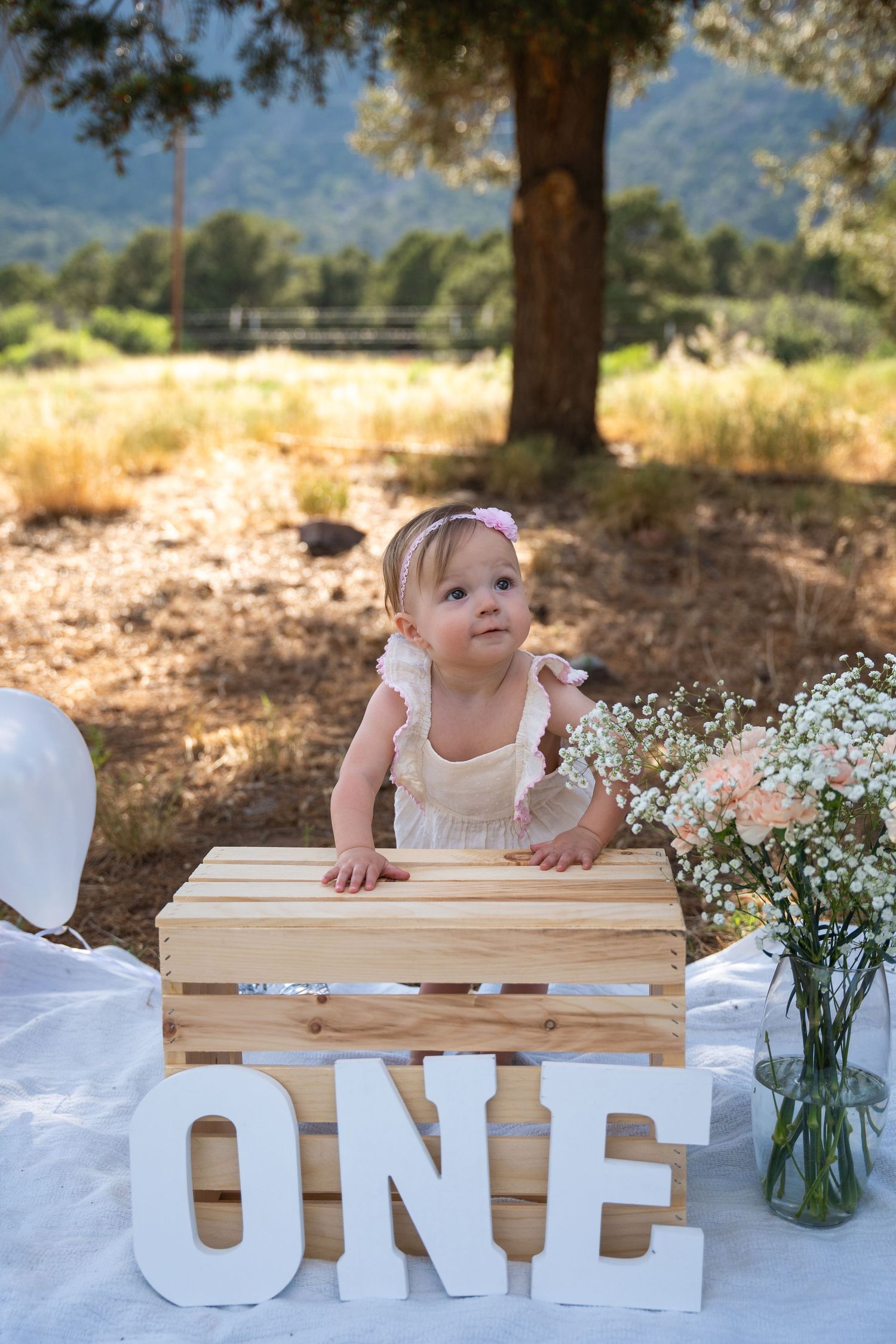 One year old milestone session